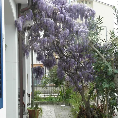 Rita's On The Sea Διαμέρισμα Giulianova