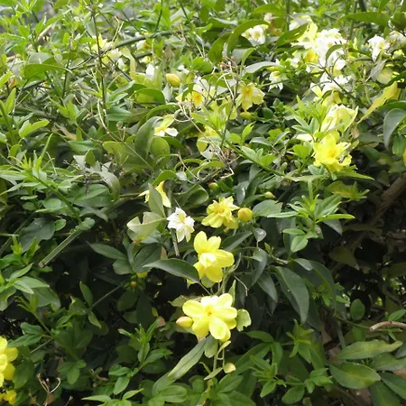 Διαμέρισμα Rita's On The Sea