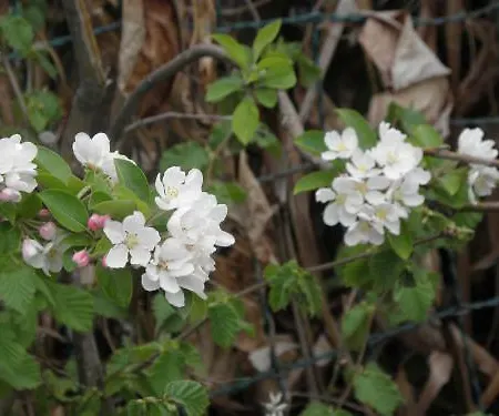 Διαμέρισμα Rita's On The Sea Giulianova