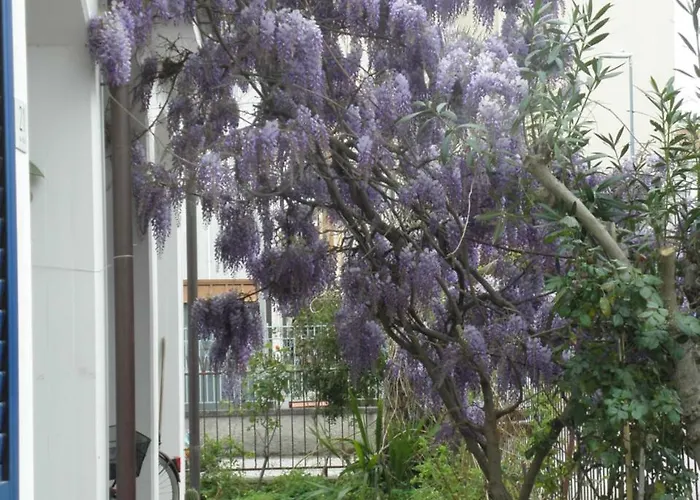 Rita's On The Sea Апартаменты Джулианова