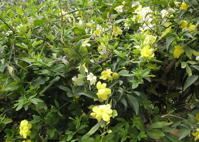 Апартаменты Rita's On The Sea