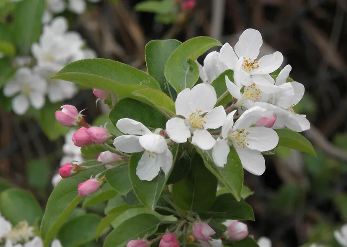 Rita's On The Sea Апартаменты