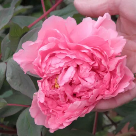 公寓 Rita's On The Sea