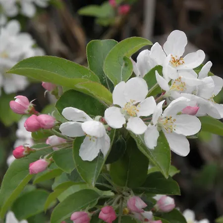 Rita's On The Sea Apartman