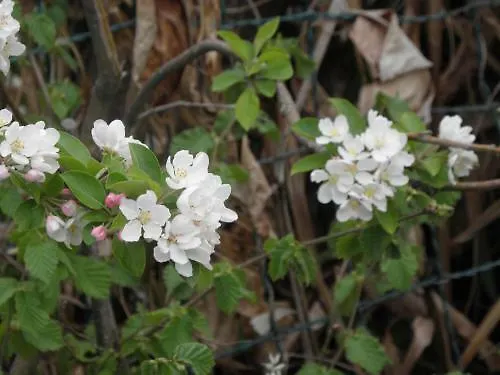 Daire Rita's On The Sea Giulianova